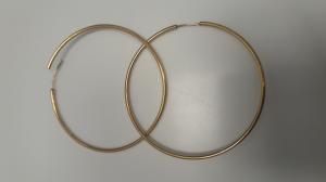 CS553/2024  EARRINGS